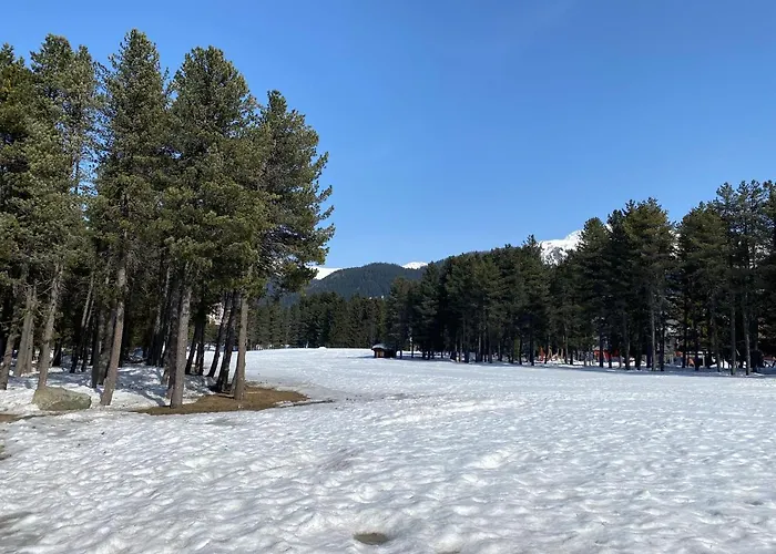 Apartamento Davos, Residenz Meierhof, Chasa Hubertus Davos